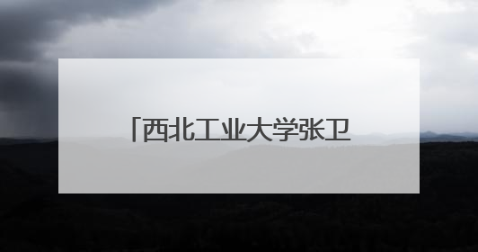 西北工业大学张卫红院士荣获J.N.Reddy奖章
