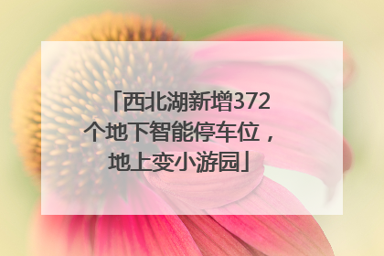 西北湖新增372个地下智能停车位，地上变小游园