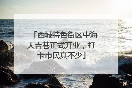 西城特色街区中海大吉巷正式开业，打卡市民真不少