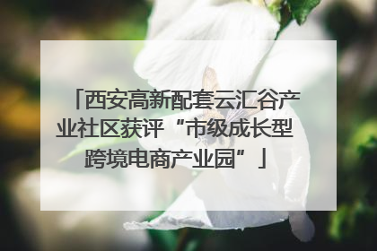西安高新配套云汇谷产业社区获评“市级成长型跨境电商产业园”