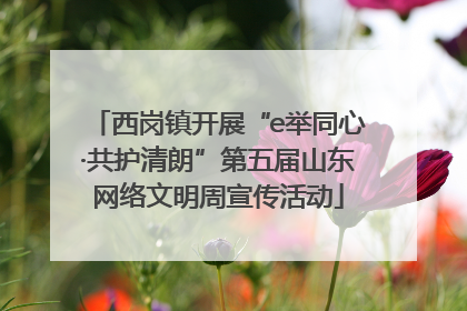 西岗镇开展“e举同心·共护清朗”第五届山东网络文明周宣传活动