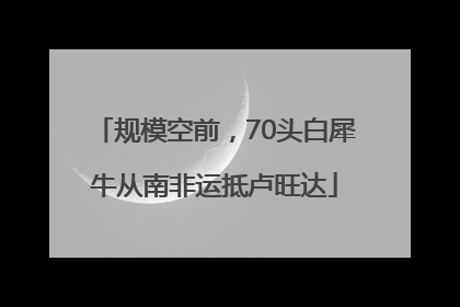 规模空前，70头白犀牛从南非运抵卢旺达