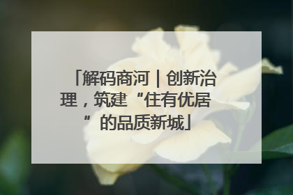 解码商河｜创新治理，筑建“住有优居”的品质新城