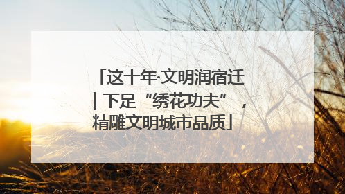 这十年·文明润宿迁｜下足“绣花功夫”，精雕文明城市品质