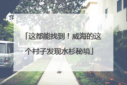 这都能找到!威海的这个村子发现水杉秘境