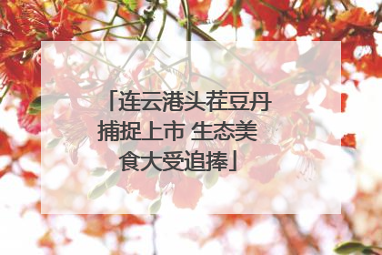 连云港头茬豆丹捕捉上市 生态美食大受追捧