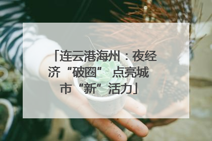 连云港海州：夜经济“破圈” 点亮城市“新”活力