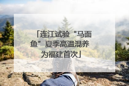 连江试验“马面鱼”夏季高温混养 为福建首次