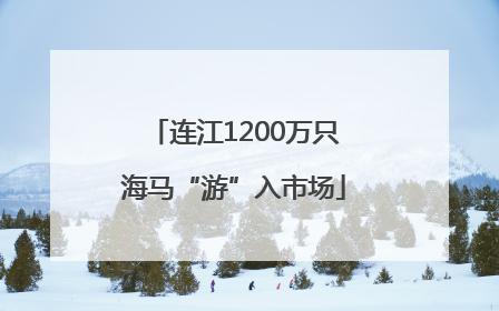 连江1200万只海马“游”入市场