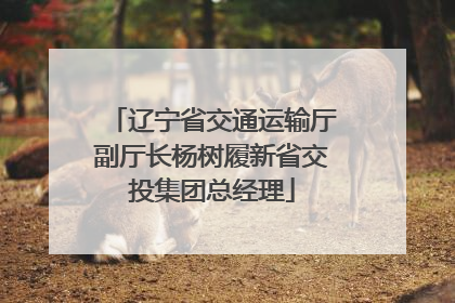 辽宁省交通运输厅副厅长杨树履新省交投集团总经理