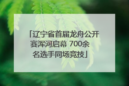 辽宁省首届龙舟公开赛浑河启幕 700余名选手同场竞技