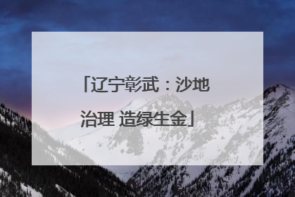 辽宁彰武：沙地治理 造绿生金