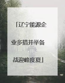 辽宁能源企业多措并举备战迎峰度夏