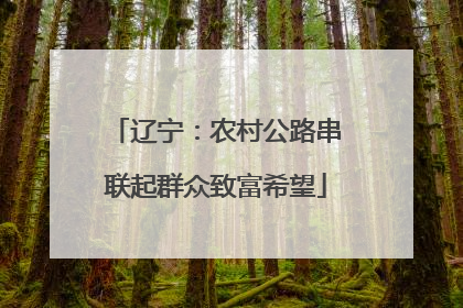 辽宁：农村公路串联起群众致富希望