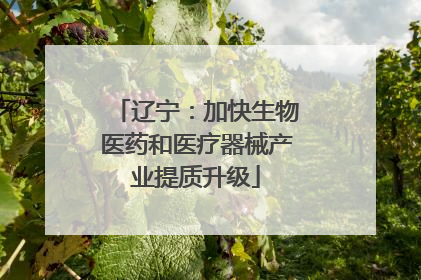 辽宁：加快生物医药和医疗器械产业提质升级