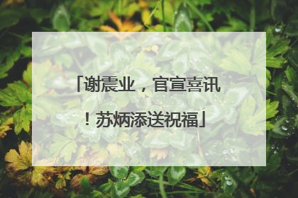 谢震业，官宣喜讯！苏炳添送祝福