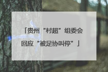 贵州“村超”组委会回应“被足协叫停”