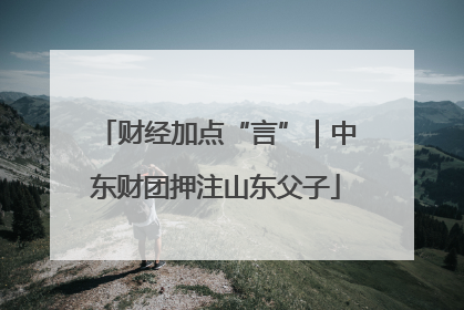 财经加点“言”｜中东财团押注山东父子