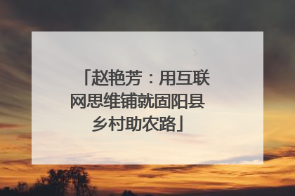 赵艳芳：用互联网思维铺就固阳县乡村助农路