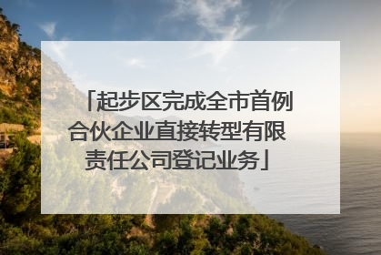 起步区完成全市首例合伙企业直接转型有限责任公司登记业务