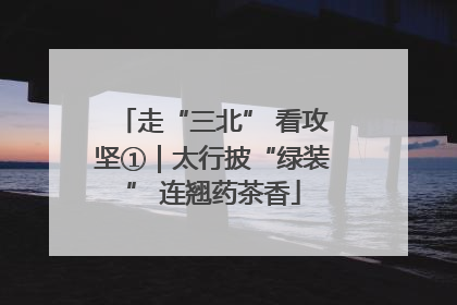 走“三北” 看攻坚①｜太行披“绿装” 连翘药茶香
