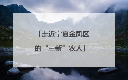 走近宁夏金凤区的“三新”农人