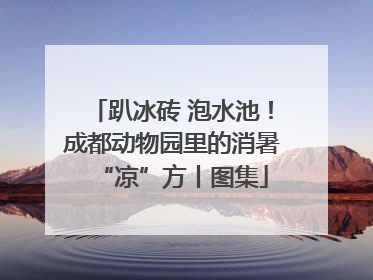 趴冰砖 泡水池！成都动物园里的消暑“凉”方丨图集