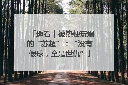 趣看｜被热梗玩爆的“苏超”：“没有假球，全是世仇”