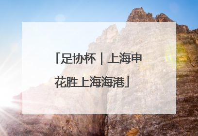 足协杯｜上海申花胜上海海港