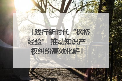 践行新时代“枫桥经验” 推动知识产权纠纷高效化解