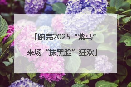 跑完2025“紫马” 来场“抹黑脸”狂欢