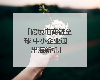 跨境电商链全球 中小企业迎出海新机
