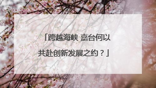 跨越海峡 嘉台何以共赴创新发展之约？