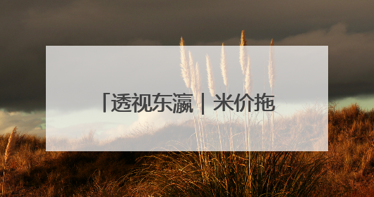 透视东瀛｜米价拖累自民党选情，小泉能“救”石破茂吗