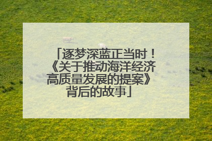 逐梦深蓝正当时！《关于推动海洋经济高质量发展的提案》背后的故事