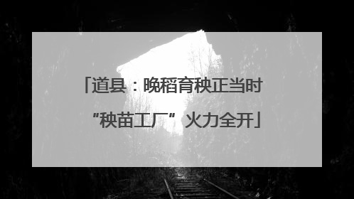 道县：晚稻育秧正当时 “秧苗工厂”火力全开