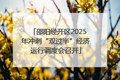 邵阳经开区2025年冲刺“双过半”经济运行调度会召开