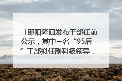 邵阳隆回发布干部任前公示，其中三名“95后”干部拟任副科级领导，均系硕士选调生
