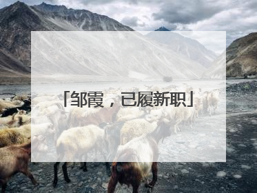 邹霞，已履新职