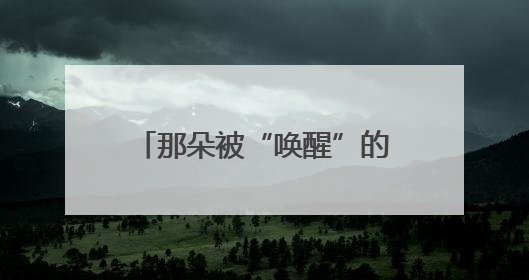 那朵被“唤醒”的云｜人民气象事业创建80周年印记