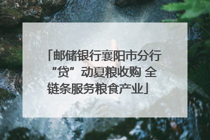 邮储银行襄阳市分行“贷”动夏粮收购 全链条服务粮食产业