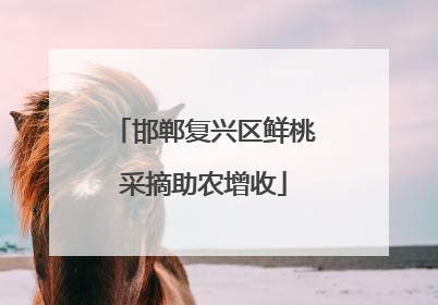 邯郸复兴区鲜桃采摘助农增收