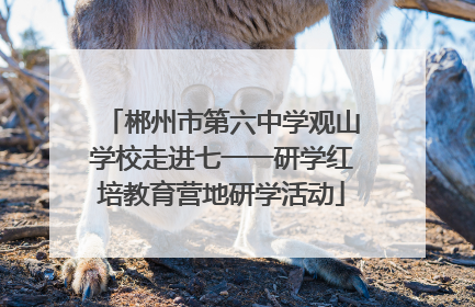 郴州市第六中学观山学校走进七一一研学红培教育营地研学活动
