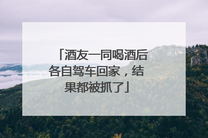 酒友一同喝酒后各自驾车回家，结果都被抓了