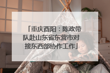 重庆酉阳：陈政带队赴山东省东营市对接东西部协作工作