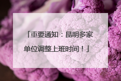 重要通知：昆明多家单位调整上班时间！