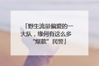 野生流量偏爱的一大队，缘何有这么多“爆款”民警