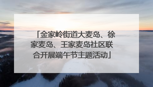 金家岭街道大麦岛、徐家麦岛、王家麦岛社区联合开展端午节主题活动