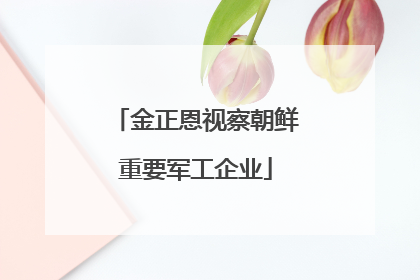 金正恩视察朝鲜重要军工企业