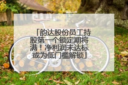 韵达股份员工持股第一个锁定期将满！净利润未达标或为低门槛解锁